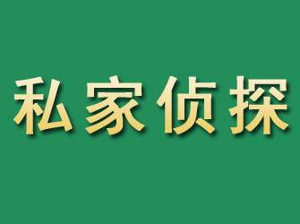 岭东市私家正规侦探